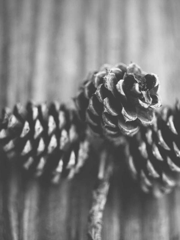 Junior Advanced Open Water